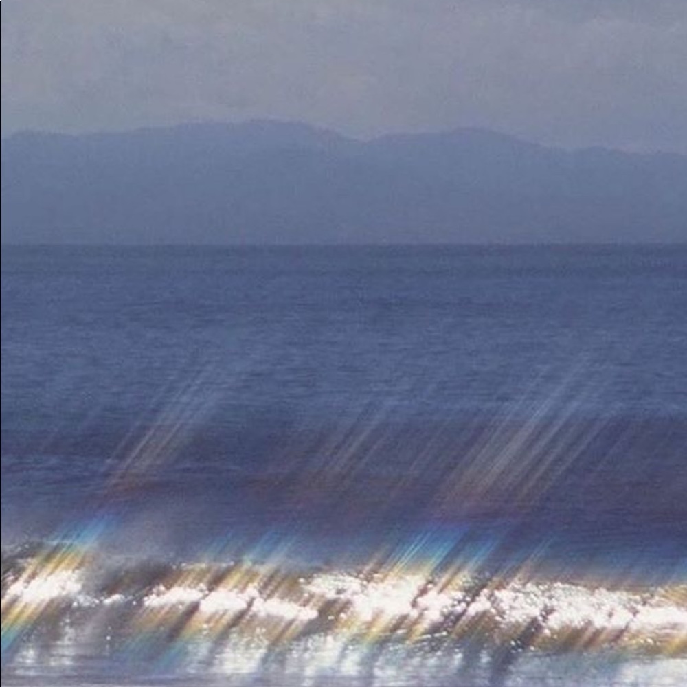 Meet your Posher, Luna